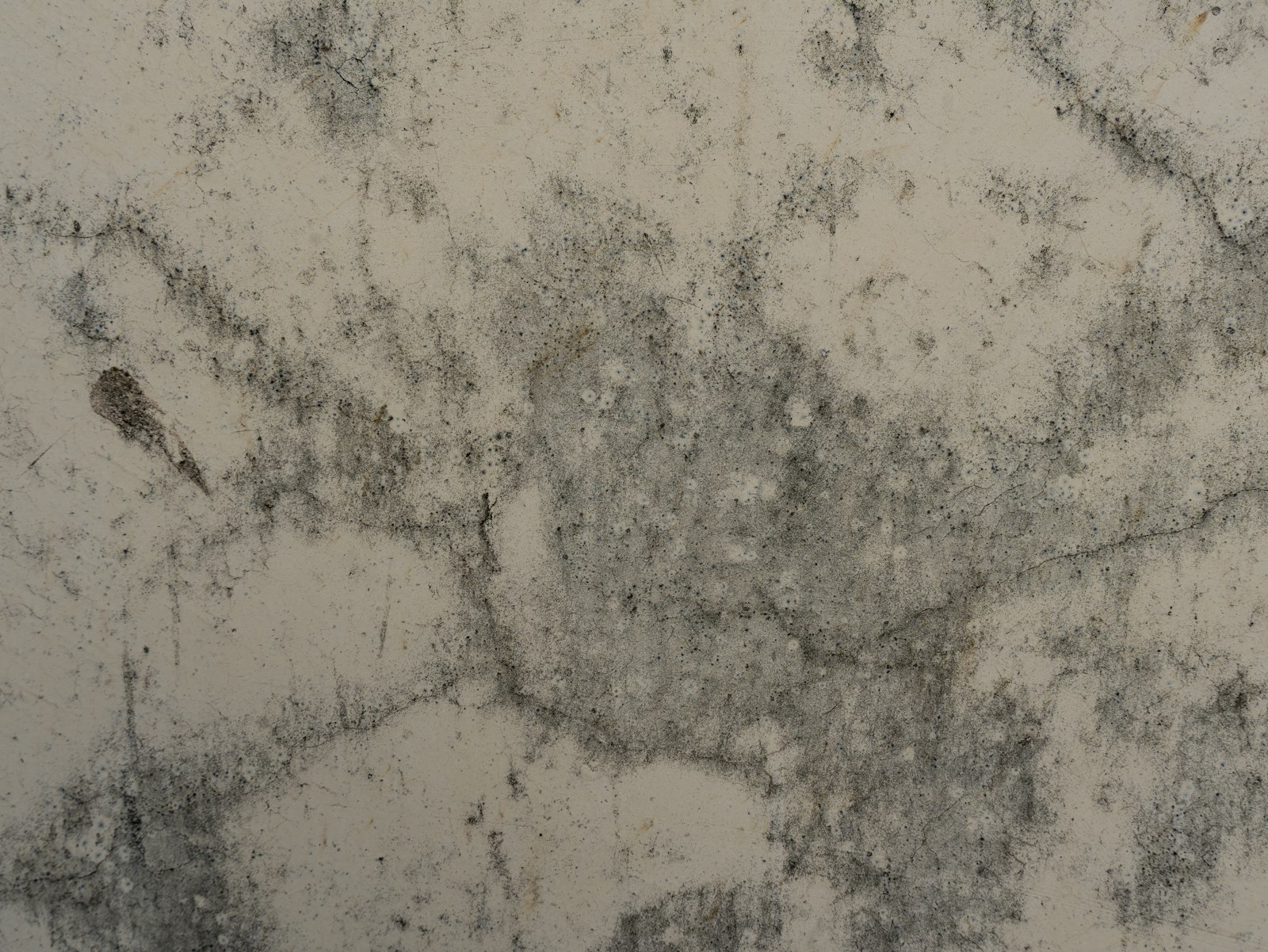 TSH — Assainissement de l'habitat